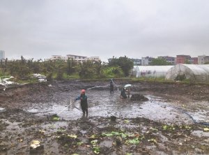 磐石河道鱼塘清淤